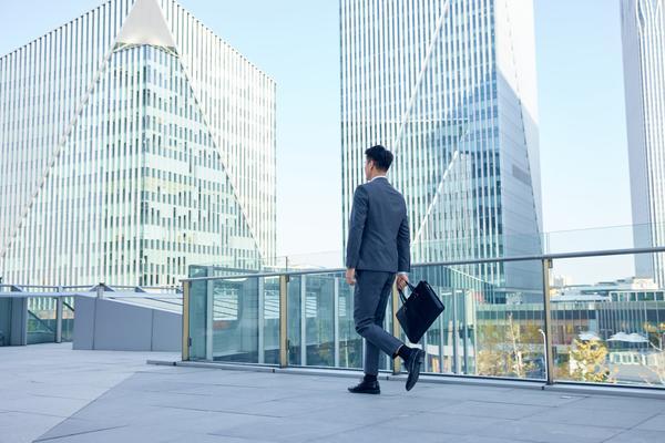 《从国企到民营企业：转型之路上的挑战与机遇》 图2
