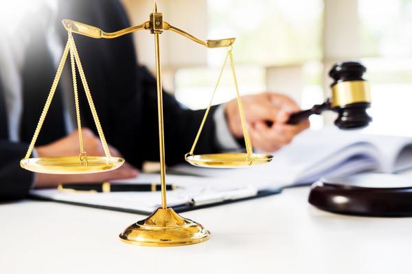 《中华人民共和国刑法修正案：关于规范男性内衣穿戴的条款》 图2