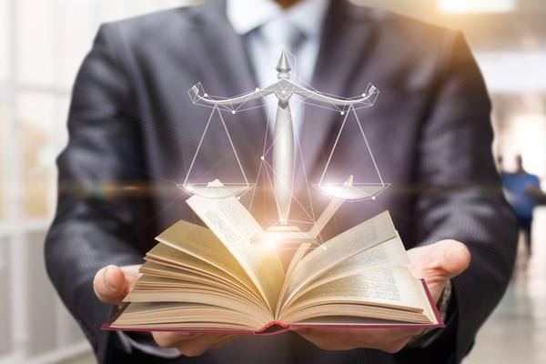 刑法285条司法解释：理解与适用图1
