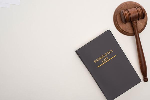 债务人破产法律问题解析图1
