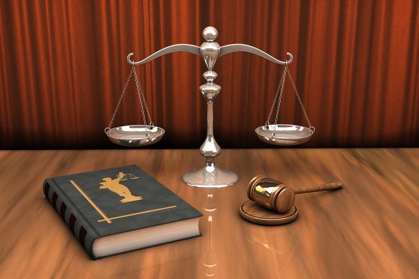 《中华人民共和国刑法减刑假释条文解读与实践应用》 图2