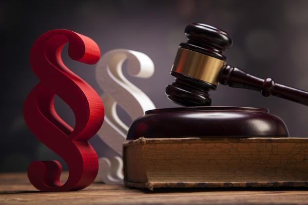 设立债的担保制度的重要性及其实施效果分析 图2