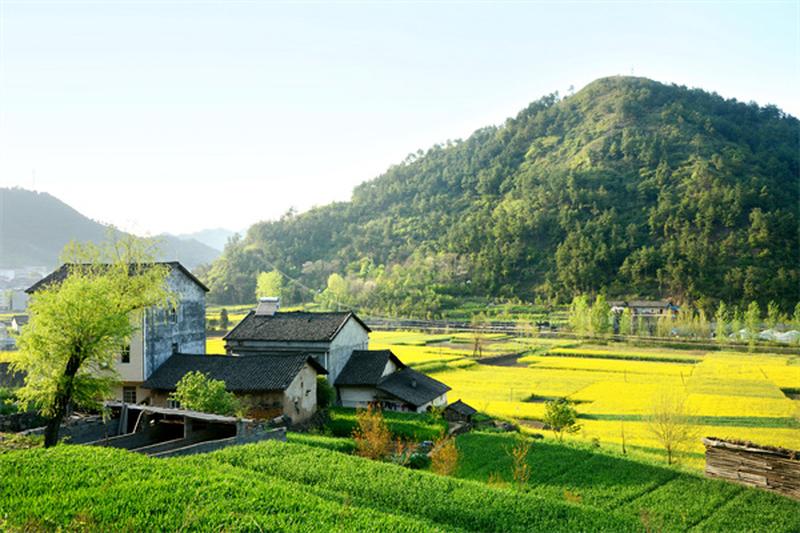 土地权益保障与乡村振兴|农村土地承包法|土地流转机制 图2