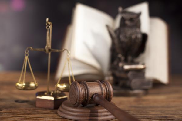 东南亚商标注册及资产负债表英文翻译法律问题分析 图2